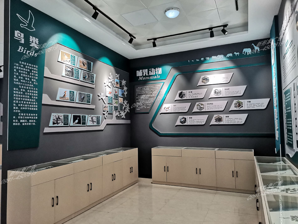 研學(xué)館鳥(niǎo)類(lèi)、哺乳動(dòng)物展廳設(shè)計(jì)制作